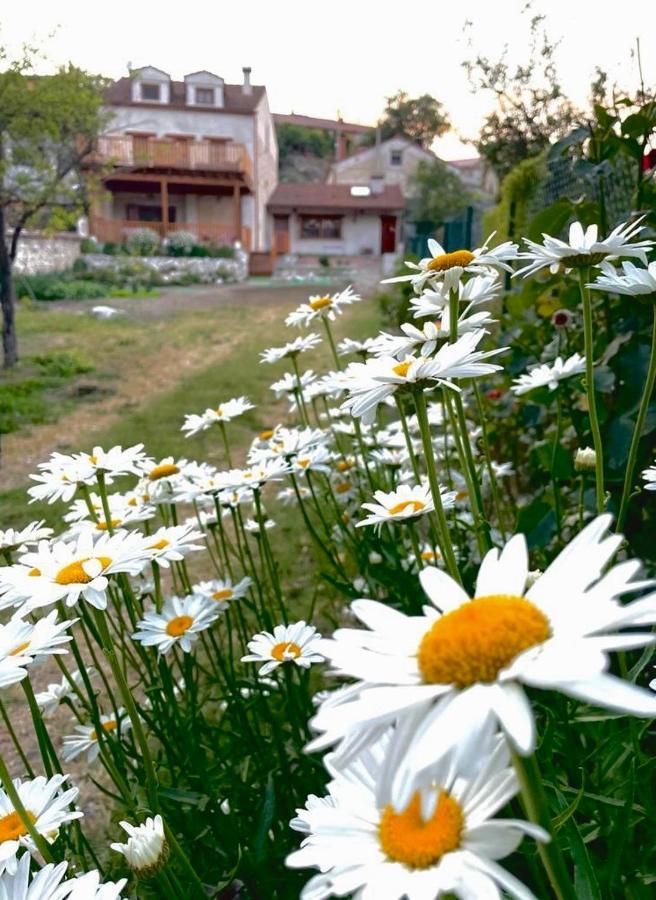 Alojamiento Gaia Aldeasona Exterior foto